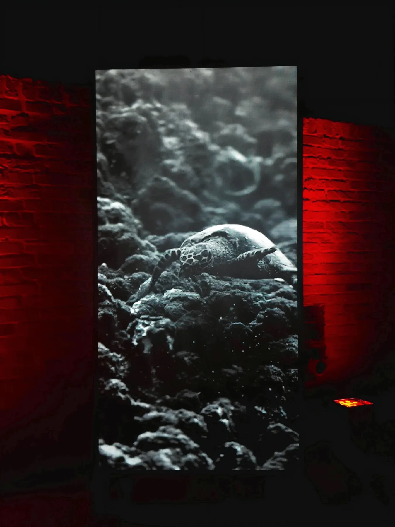 La colonna luminosa di Davide Starinieri, con l'immagine in bianco e nero di una tartaruga marina, fra muri di mattoni illuminati di rosso