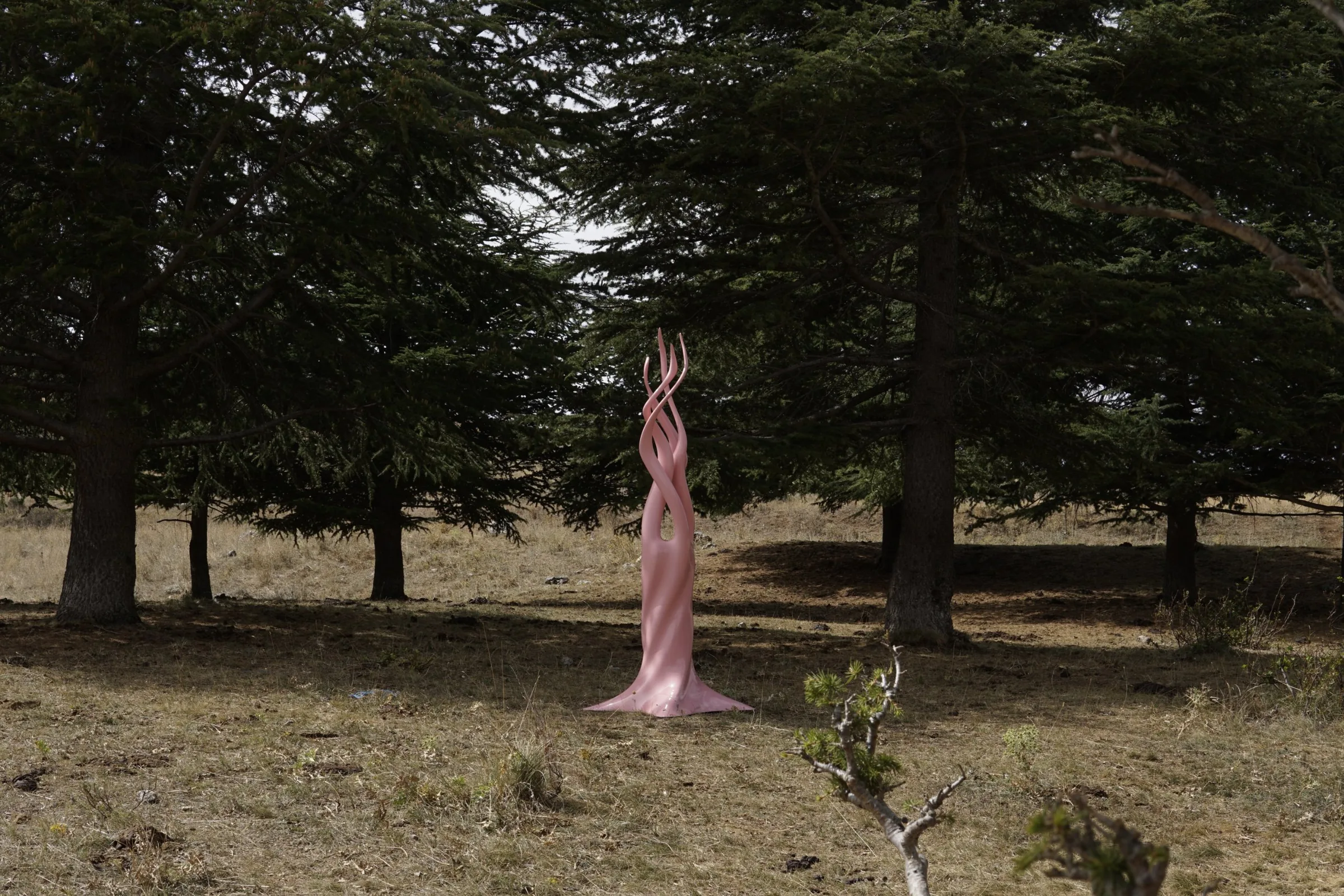 Una scultura rosa dalle forme che salgono come fiamme, fra i cedri, su un prato di montagna
