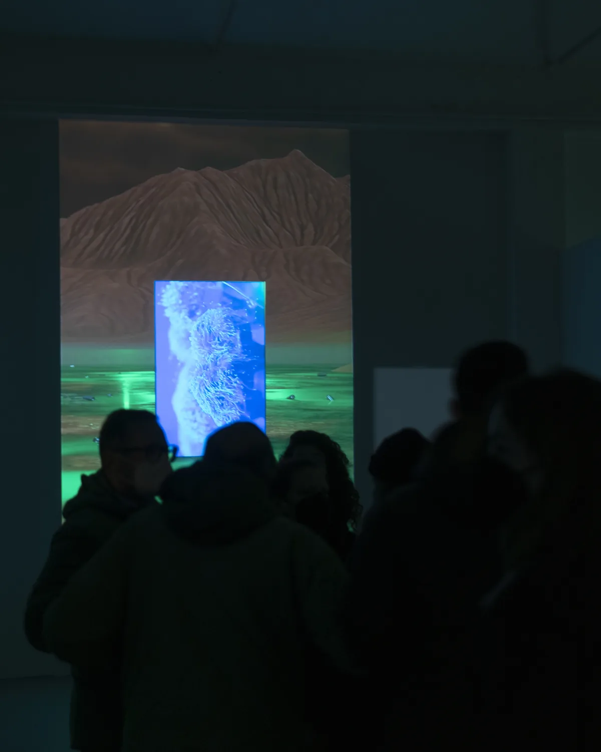 Due schermi nella sala buia, con paesaggi verdi e rossi; il pubblico in controluce