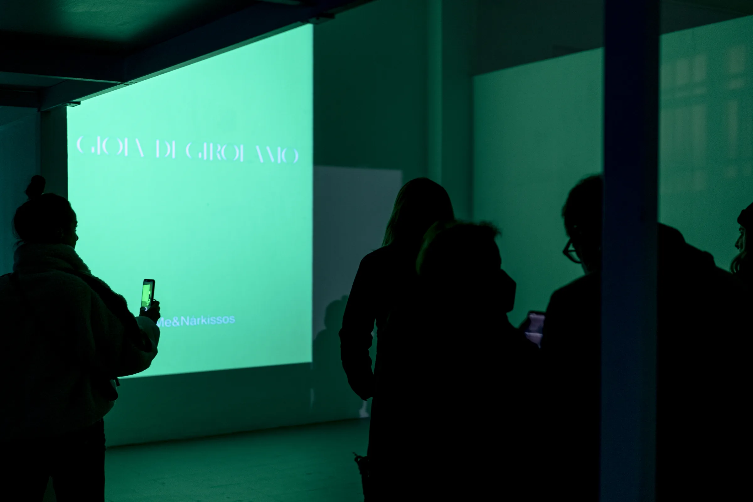 La proiezione verde con il nome di Gioia Di Girolamo, e il pubblico in controluce