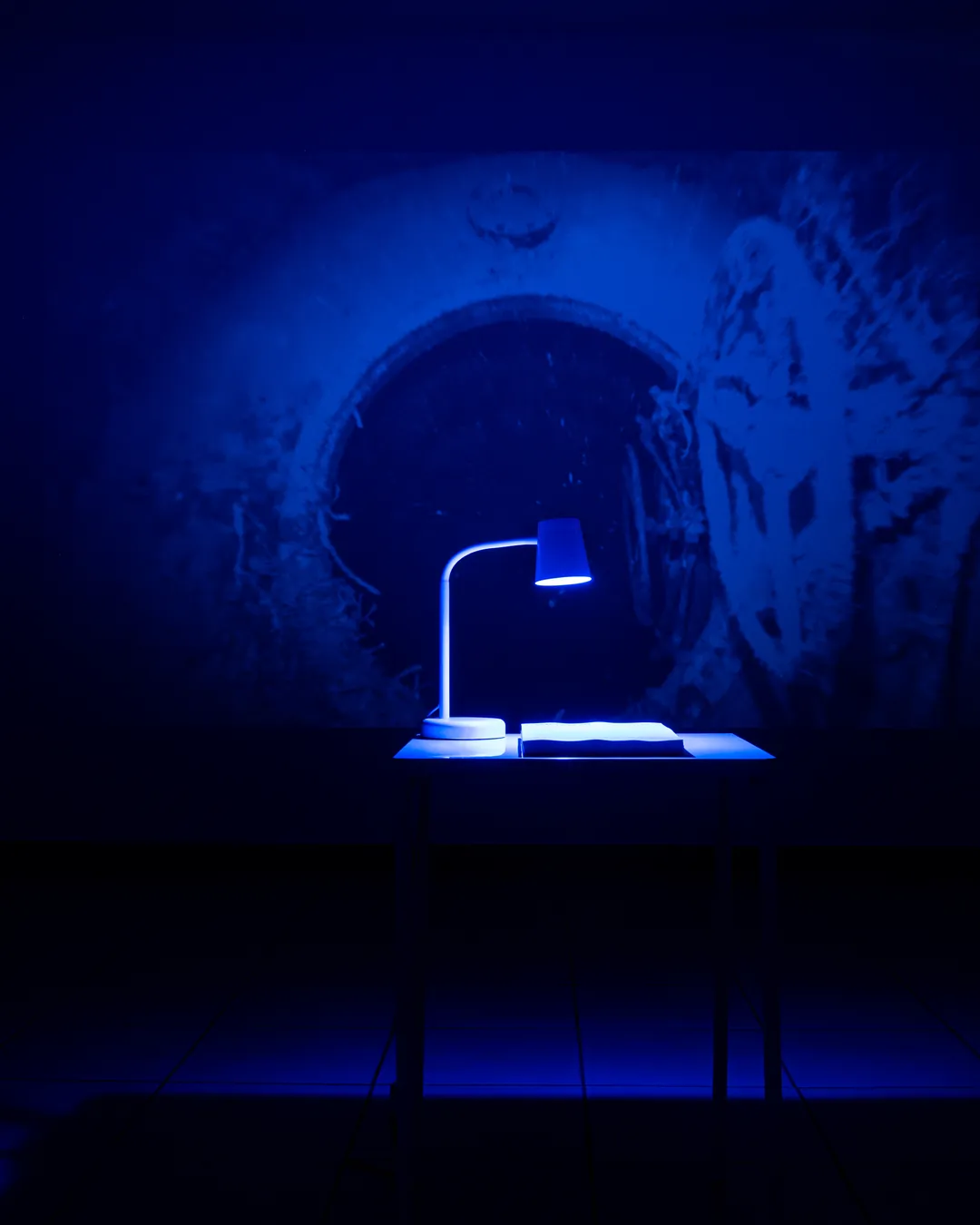 La sala in luce blu, veduta d'allestimento