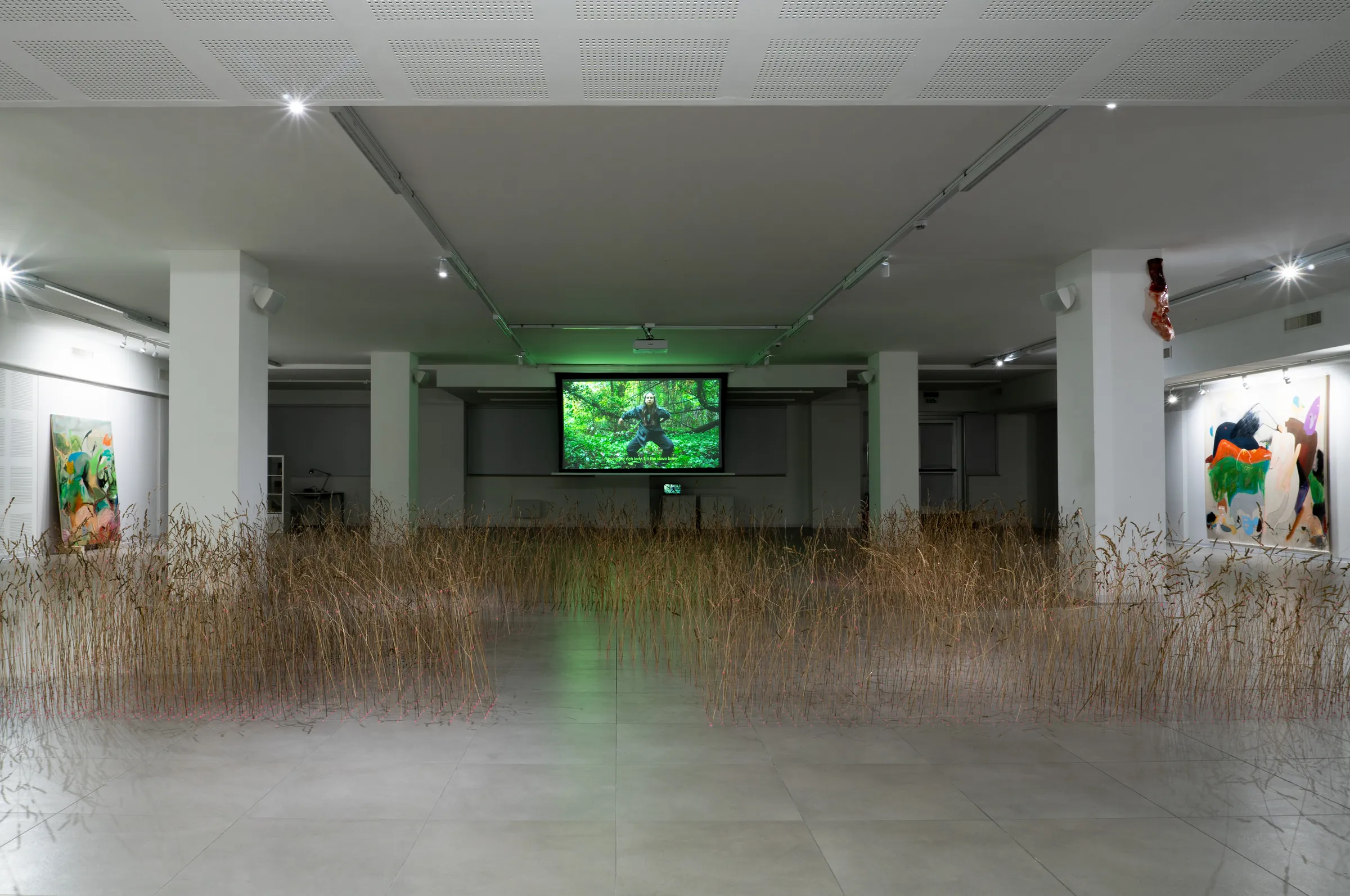 Installazione con un campo di grano e uno schermo